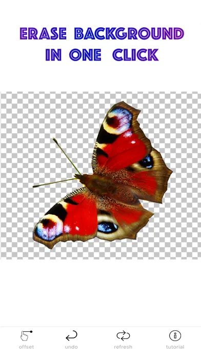 Background Eraser - Lasso Dots سکرین شاٹس