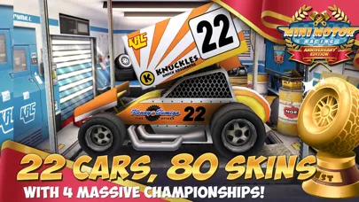 Captures d'écran de Mini Motor Racing