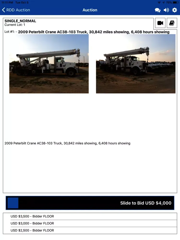 RDD Auction Live iPad Screenshots