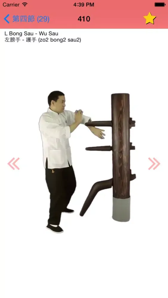 Wing Chun Wooden Dummy Form應用截圖