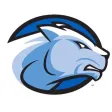 Wheaton Athletics