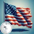 Flags Voxel