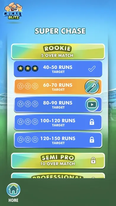 WCC Cricket Blitz应用截图