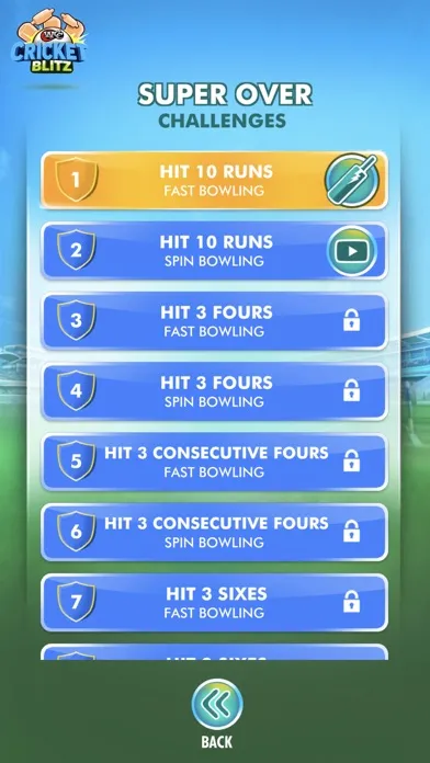 WCC Cricket Blitz应用截图