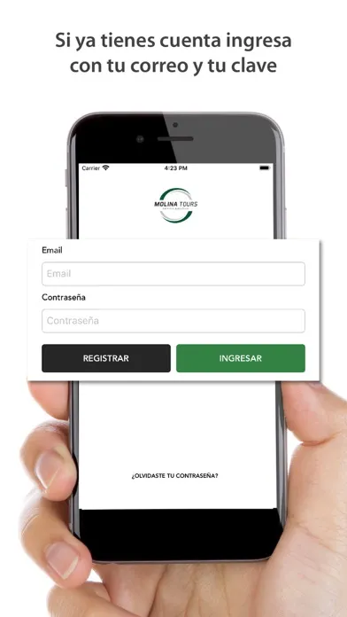 Screenshot di Molina Tours Taxi
