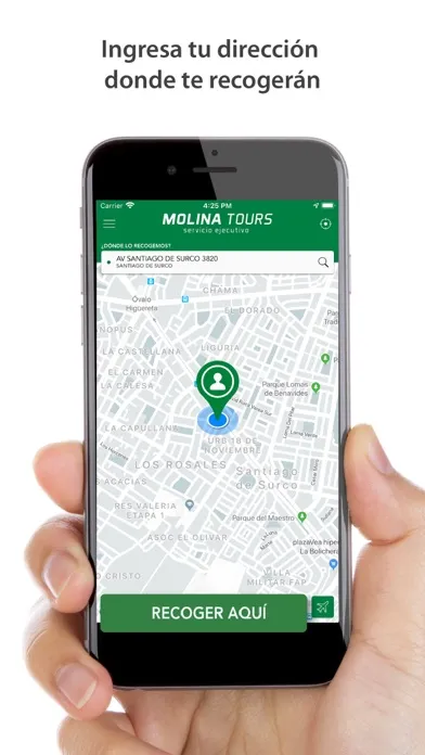 Screenshot di Molina Tours Taxi