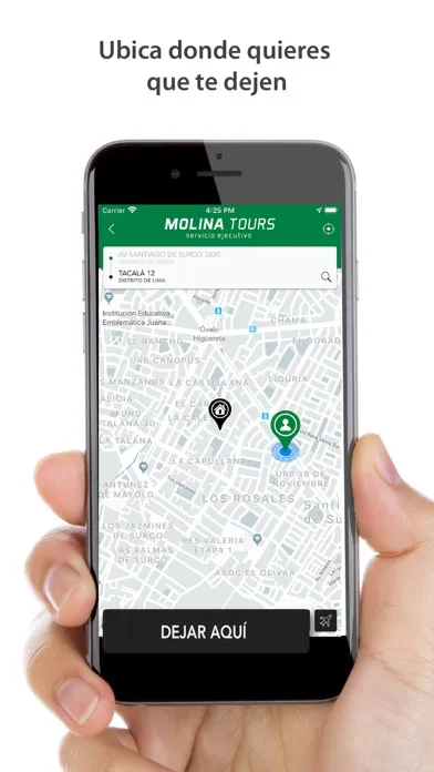 Screenshot di Molina Tours Taxi