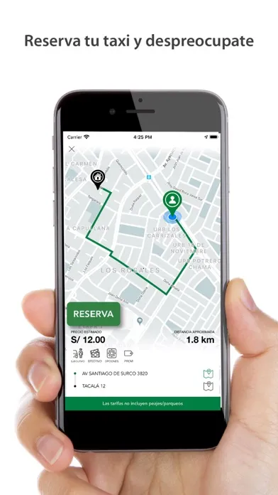 Screenshot di Molina Tours Taxi