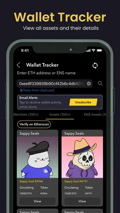 Screenshot di ANZALI: Web3 Wallet Tracker