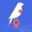N'Gale: Discover What's Around N'Gale: Discover What's Around