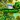 Leprecaun Land