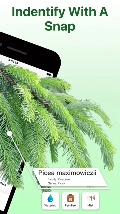 What Kind Of Plant Is This应用截图