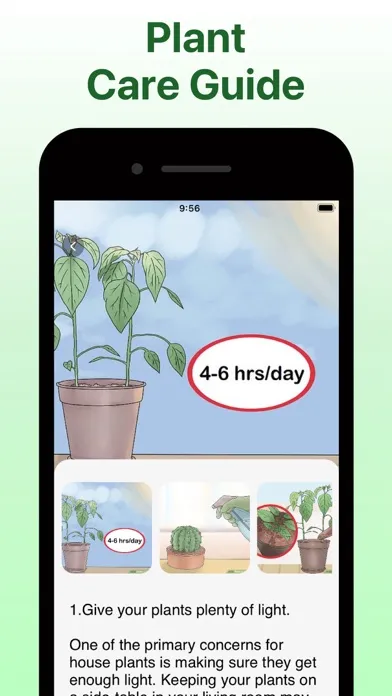 What Kind Of Plant Is This应用截图