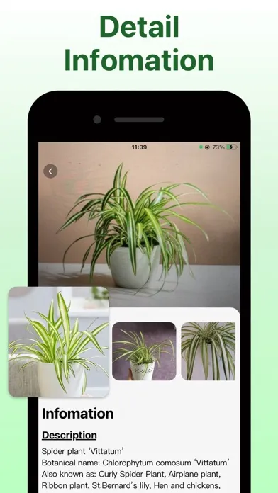 What Kind Of Plant Is This应用截图