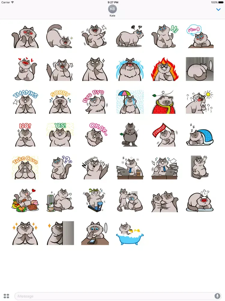 Life of Chubby Cat Sticker iPad 应用截图