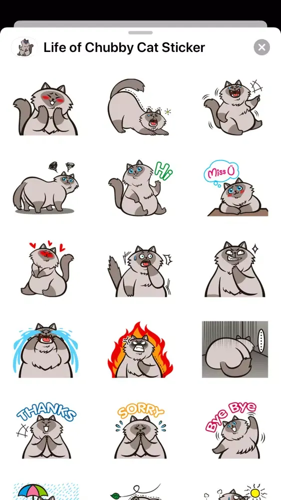 Life of Chubby Cat Sticker应用截图
