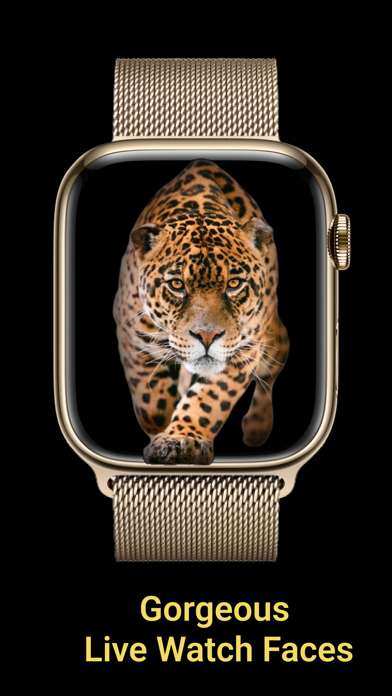Ảnh chụp màn hình của Live Watch Faces Gallery #1