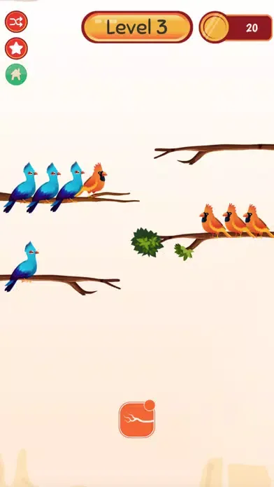 تصاویر BlueBird!