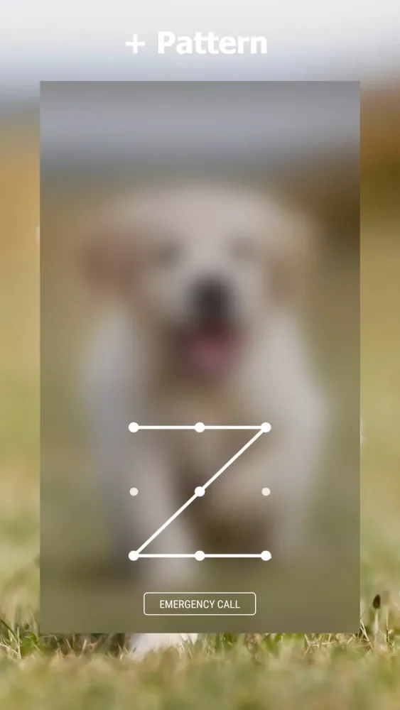 Labrador Lock Screen স্ক্রিনশট