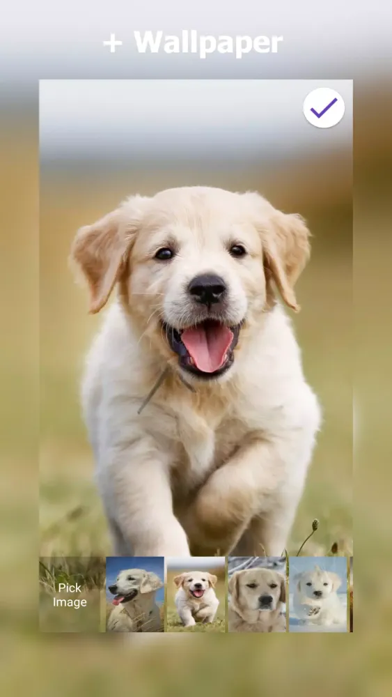 Labrador Lock Screen স্ক্রিনশট