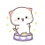 Peach Cat So Cute