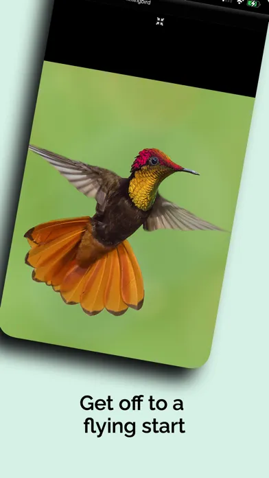 Capturas de pantalla de Natural History Museum Full