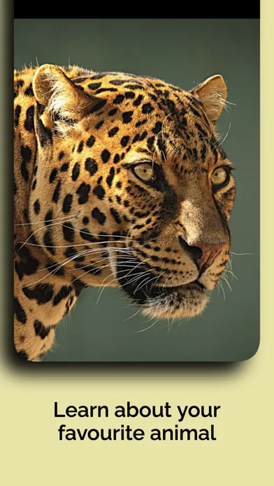 Capturas de pantalla de Natural History Museum Full