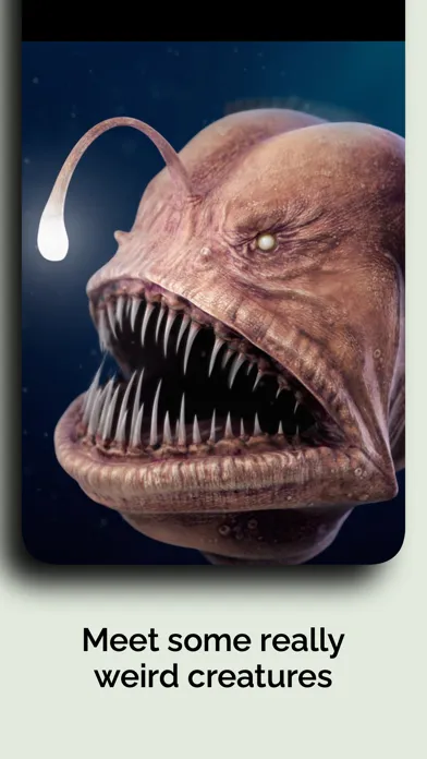 Capturas de pantalla de Natural History Museum Full