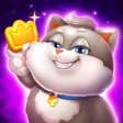 House Cat Match House Cat Match
