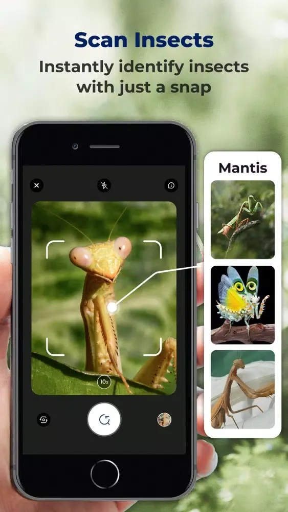 Bug ID: insect identification Screenshots