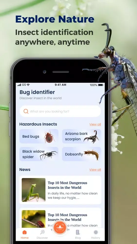 Bug ID: insect identification Screenshots