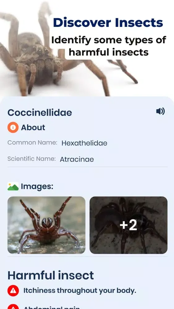Bug ID: insect identification Screenshots