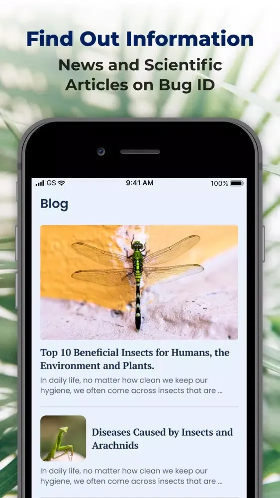 Bug ID: insect identification Screenshots