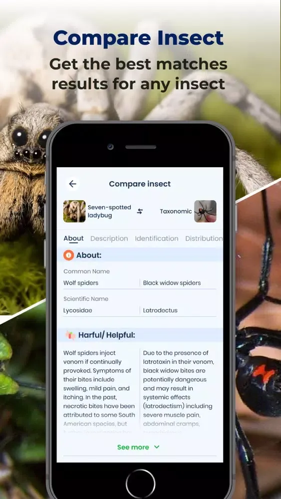 Bug ID: insect identification Screenshots