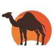 Incense road طريق البخور Incense road طريق البخور