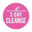 3 Day Cleanse - High Raw Food Meal Plan