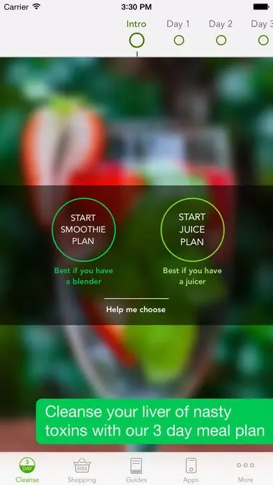 3 Day Cleanse - High Raw Food Meal Plan Screenshots