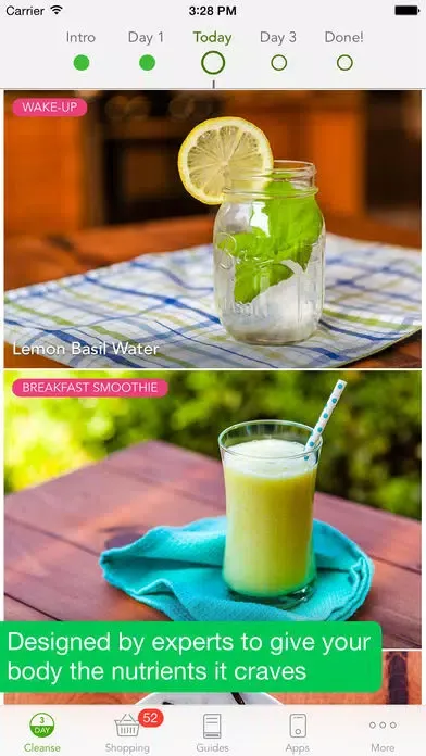 3 Day Cleanse - High Raw Food Meal Plan Screenshots