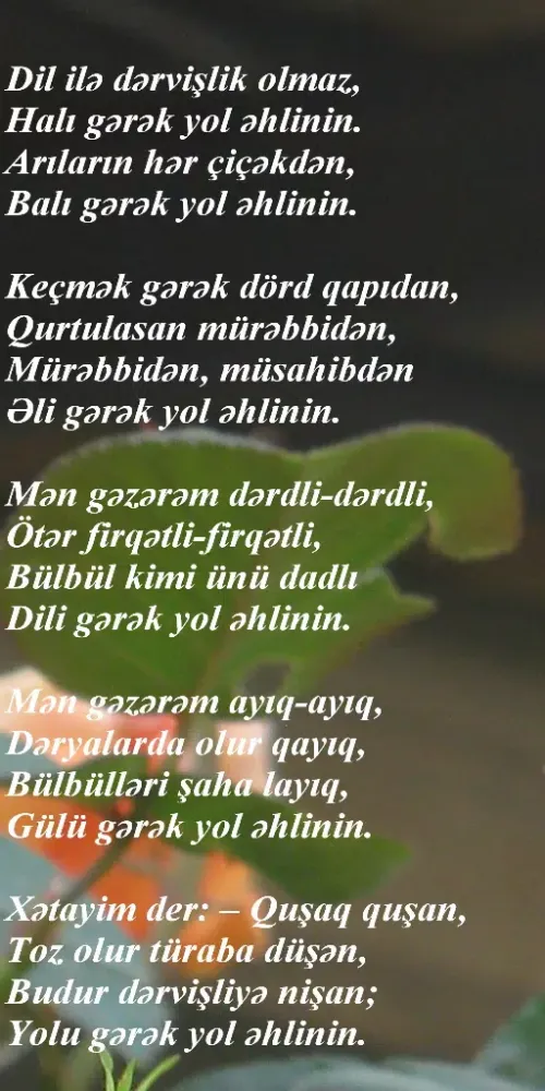 Screenshot di Şah İsmayıl Səfəvi