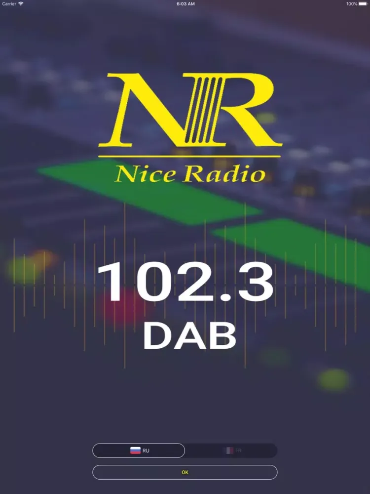 Capturas de pantalla de Nice Radio iPad 
