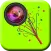 Image Decorator