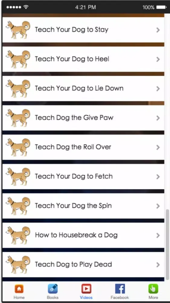 Tangkapan skrin Dog Potty Training - How to Housetrain Your Dog