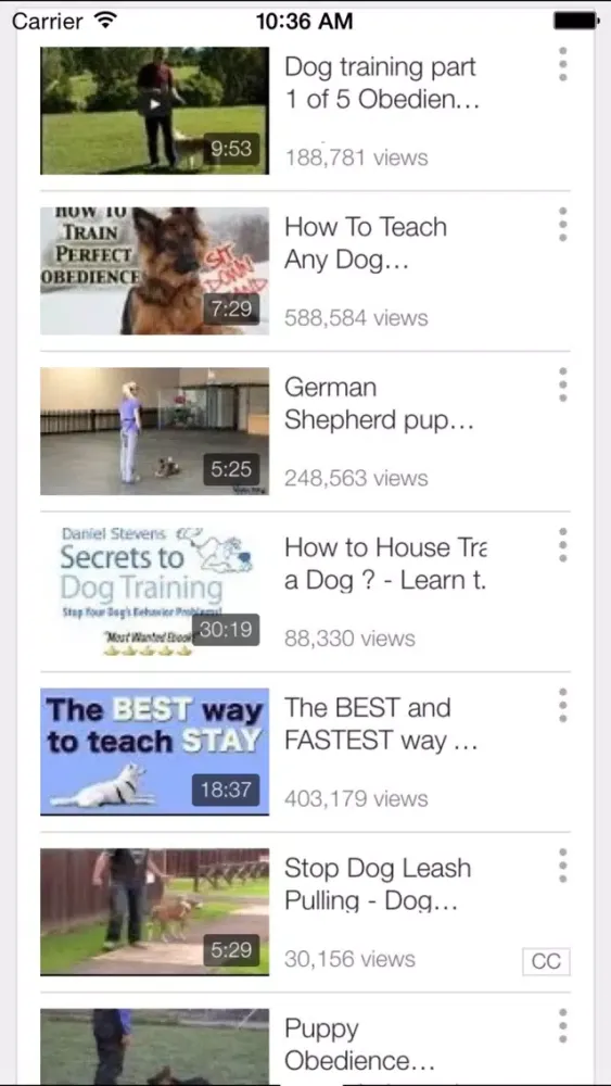 Tangkapan skrin Dog Potty Training - How to Housetrain Your Dog