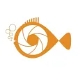 ImageWhisper