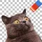Background PNG maker