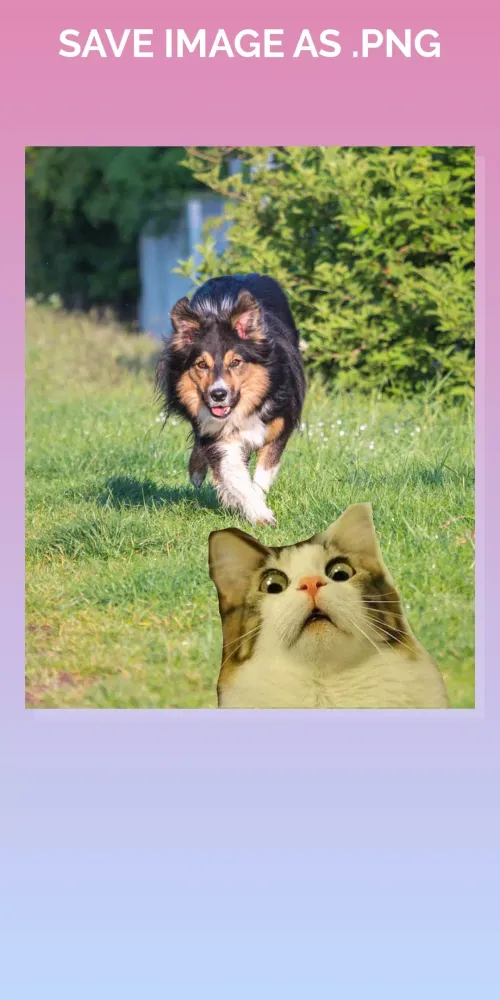 Capturas de tela do Background PNG maker