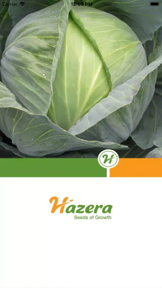 Screenshot di Brassica diseases