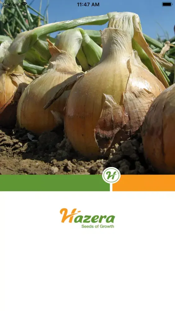 Onion diseases Screenshots