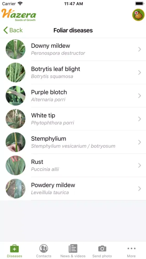 Onion diseases Screenshots