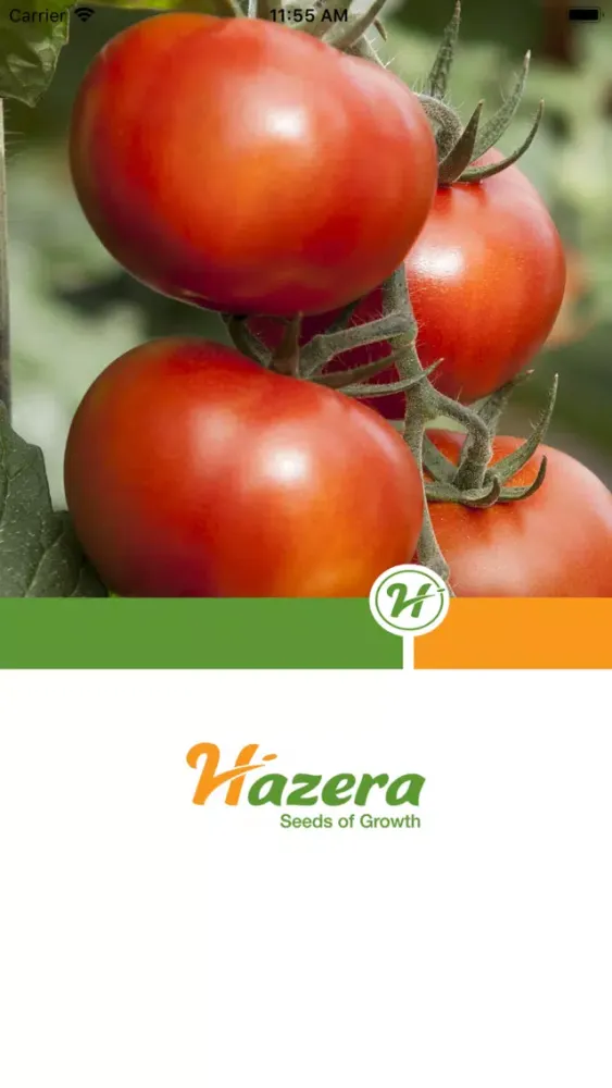Ảnh chụp màn hình của Tomato diseases